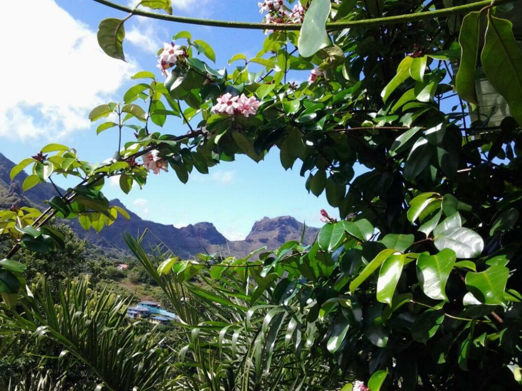 Fare Manutea Hotell Nuku Hiva Exteriör bild